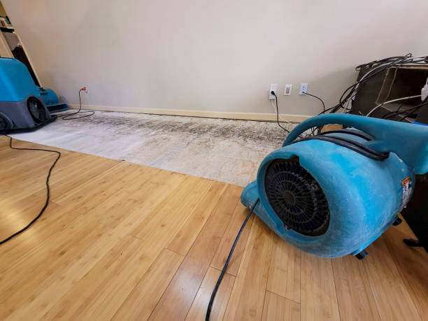 Professional Flood Damage Cleanup technician working in Wheeling, WV